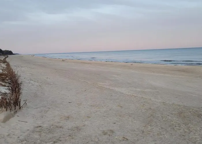 Daire Sea Power Horyzont 25 Piccolo *